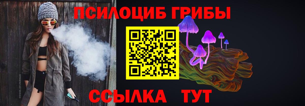 Вязники  Псилоцибиновые грибы мицелий  Вход с VPN 